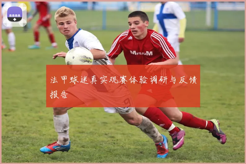 法甲球迷真实观赛体验调研与反馈报告